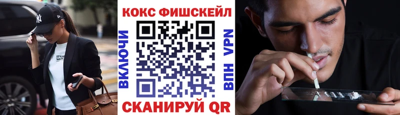 Кокаин Fish Scale  Купить закладки  Аркадак 