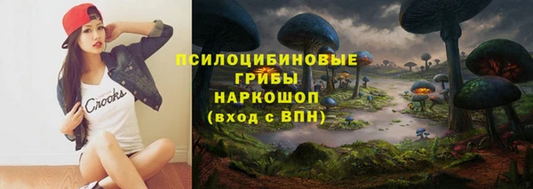 гидра Инсар
