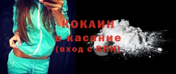 гидра Инсар