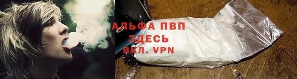 герыч Иннополис