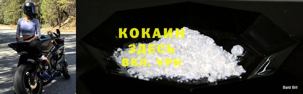 гидра Инсар