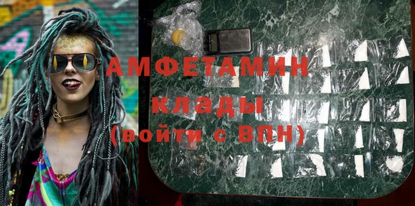 гидра Инсар
