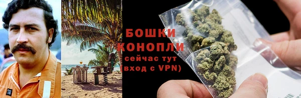гидра Инсар