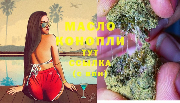 гидра Инсар