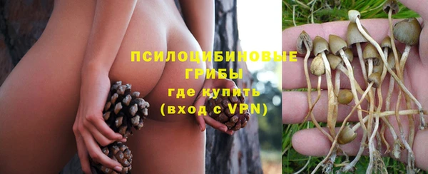 герыч Иннополис