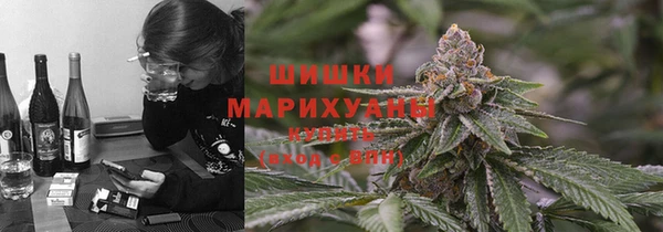 гидра Инсар