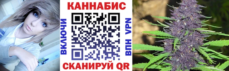 Купить где  Аркадак  Каннабис планчик 